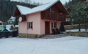 Holiday Home Melodiya Karpat